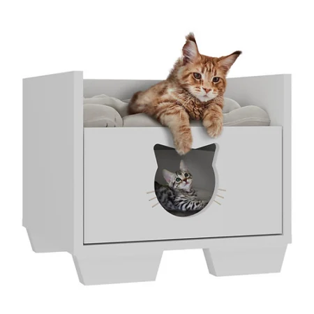Cajón PET Para Gatos