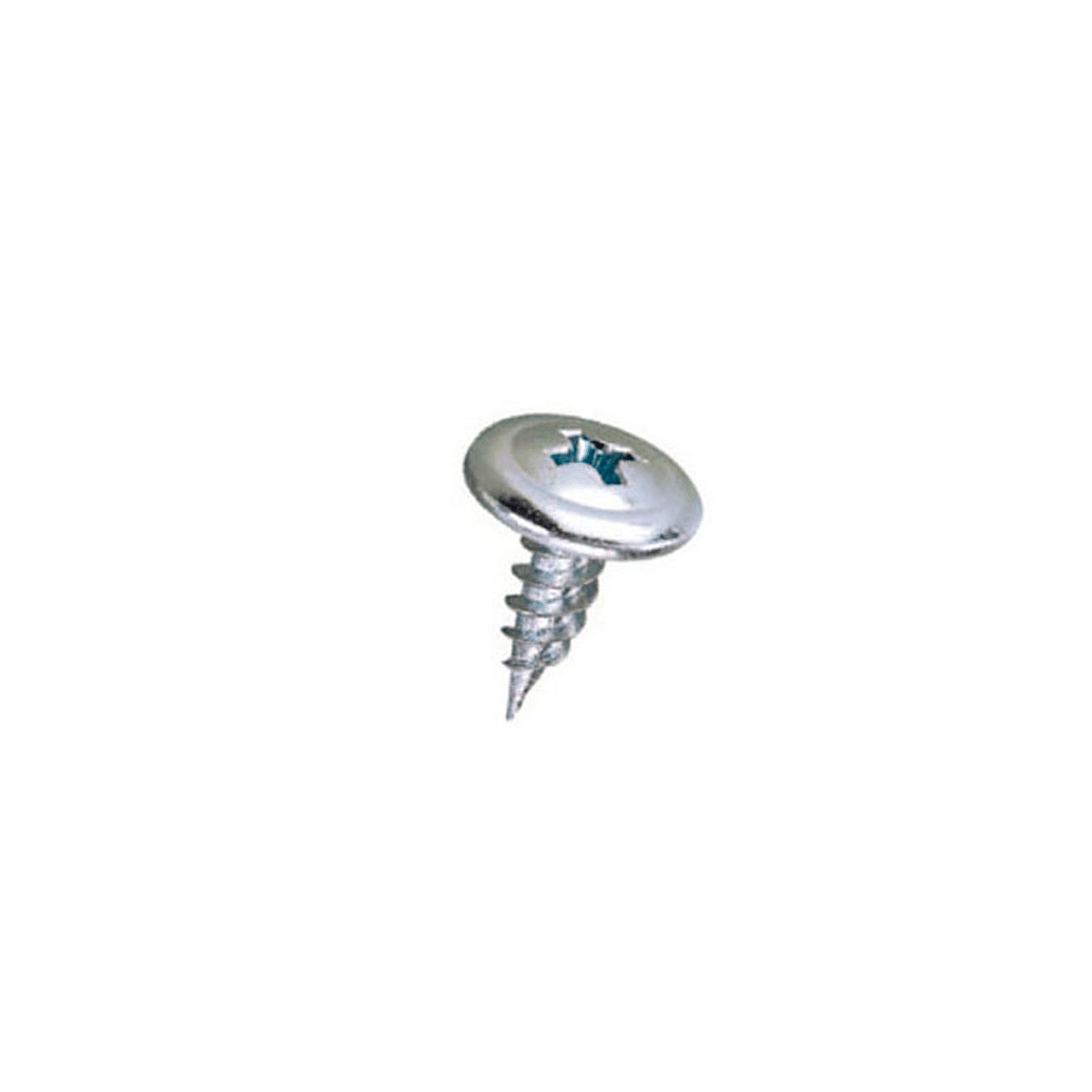 T1 aguja (x100): imagen 1